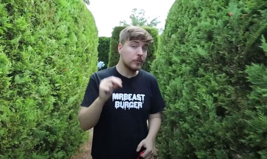 How MrBeast Uses Data to Drive Massive Revenue