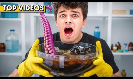 The Economics of Brent Rivera’s Viral Challenges